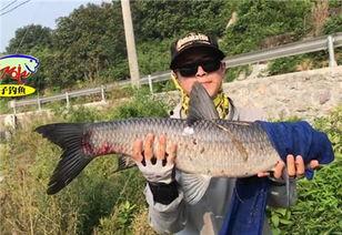 青鱼视频国产3  第3张 青鱼视频国产3  第3张